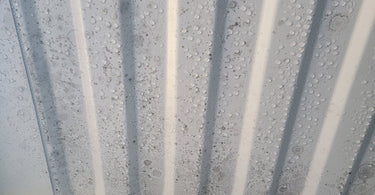 The Silent Threat Inside a Shipping Container: Container Rain