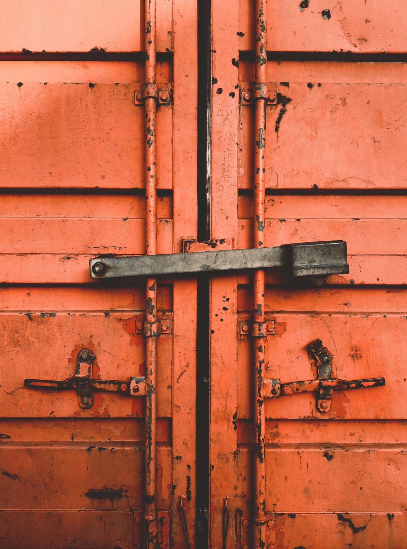 Weathered shipping container cargo doors with stubborn locking bars